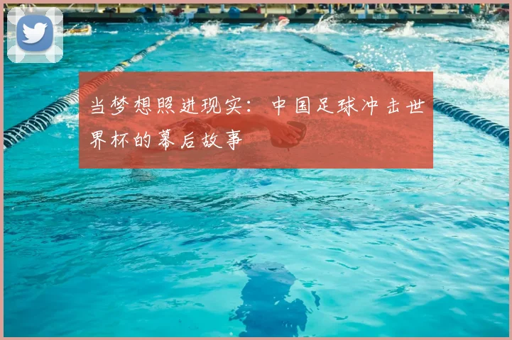 当梦想照进现实:中国足球冲击世界杯的幕后故事