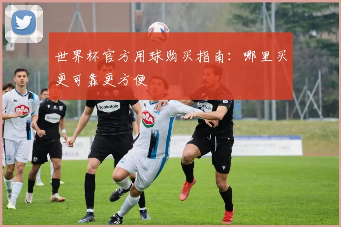 世界杯官方用球购买指南：哪里买更可靠更方便