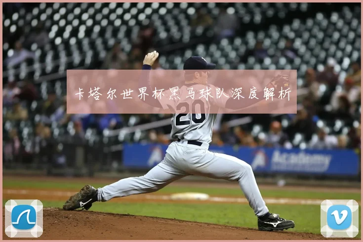 卡塔尔世界杯黑马球队深度解析